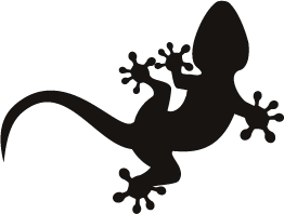 Gecko Icon